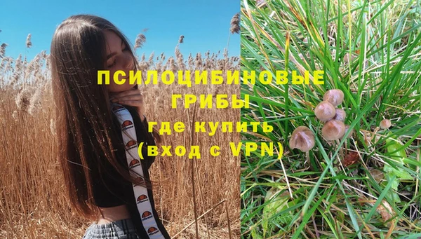 MESCALINE Алзамай
