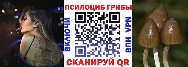 Галлюциногенные грибы мицелий сколько стоит маркетплейс телеграм Дно